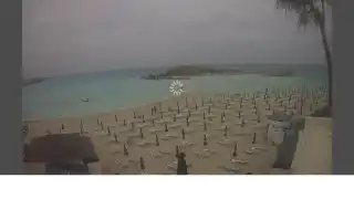 Thumbnail 2026-05-03 11:00