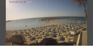Thumbnail 2026-05-08 05:00